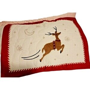 Pottery Barn Kids Christmas Standard Pillow Sham Reindeer Red Striped Back New